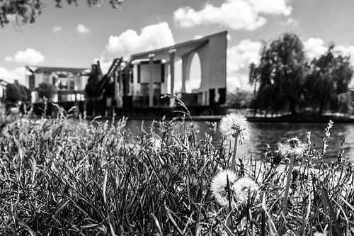 Dandelions in front of the Federal Chancellery in Berlin