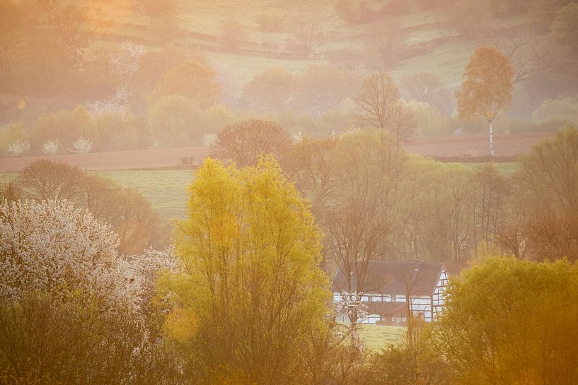 Hügellandschaft in Südlimburg von Bob Luijks