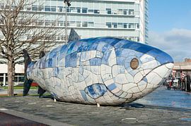 The Big Fish Belfast van Richard Wareham