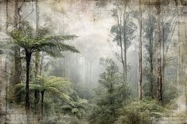 Fine art landscape of misty tree ferns in New Zealand with vintage look
