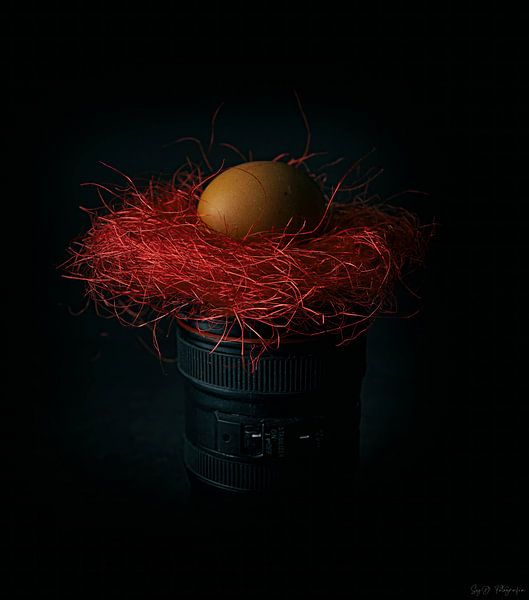 Das Nest von SyD Fotografia