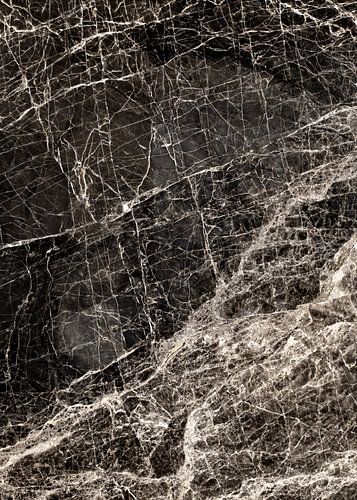 ABSTRACT BLACK & WHITE v1