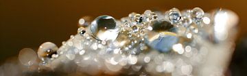 Drop Art van Jessica Berendsen
