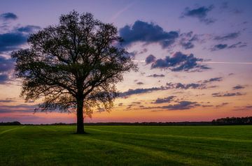 Solitude von Stephan Smit