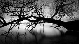 Lake Starnberg by Einhorn Fotografie