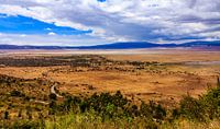 Ngorongoro krater van René Holtslag thumbnail