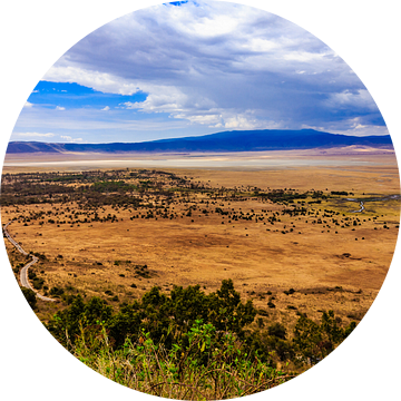 Ngorongoro krater van René Holtslag