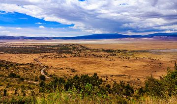 Ngorongoro krater van René Holtslag