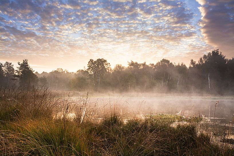 Streak of fog on a lake by Edith Albuschat