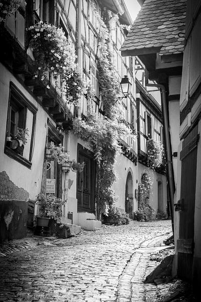 Straße in Eguisheim, Elsass von Michiel Mulder