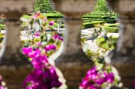 Botanischer Garten in Belém von Ronne Vinkx Miniaturansicht