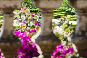 Botanische tuin in Belém van Ronne Vinkx