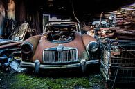 Rusty car van Evelyn Conings thumbnail