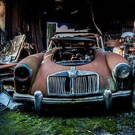 Rusty car van Evelyn Conings
