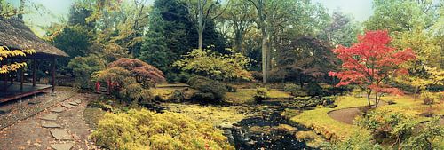 Den Haag  Japanese park