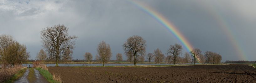 Sturm von Lex Schulte