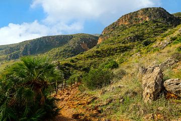 Ruig, bergachtig landschap in het natuurreservaat Zingaro, Scopello, Trapani, Sicilië, Italië. van Mieneke Andeweg-van Rijn