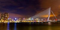 Panorama uitzicht op Erasmusbrug in de nacht