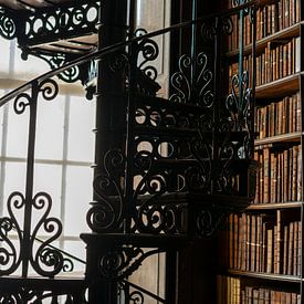 Escaliers de la bibliothèque du Trinity College sur Terry De roode