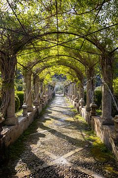 Jardins d'Alfàbia Bogen mit Wasserfontäne und Pflanzen | Reisefotografie von Kelsey van den Bosch