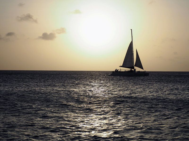 Segelboot auf See von Loes