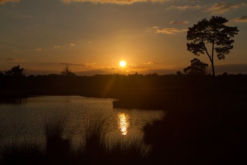 Zonsondergang Hatertse Vennen