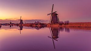 Pink Mills @ Kinderdijk