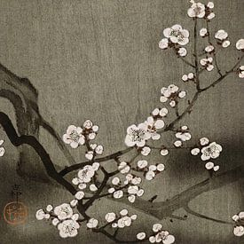 Zen Blooming  (gezien bij vtwonen) van Marja van den Hurk