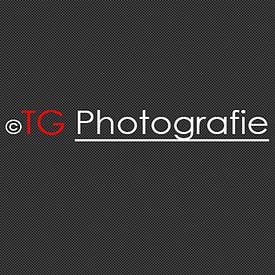 Theo Groote profielfoto