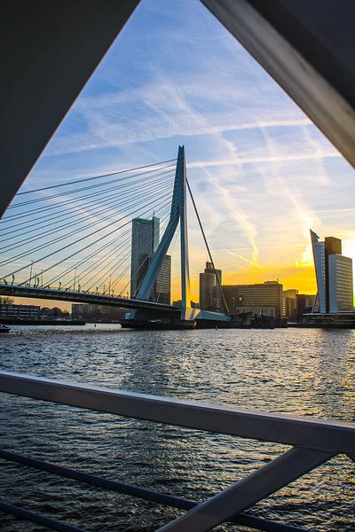 The Swan [Erasmus Bridge] by SVPhotography