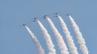 Canadian Armed Forces Snowbirds. by Jaap van den Berg thumbnail