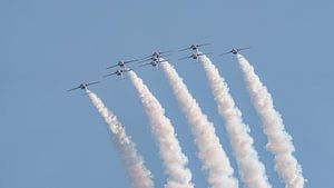 Snowbirds der kanadischen Streitkräfte.