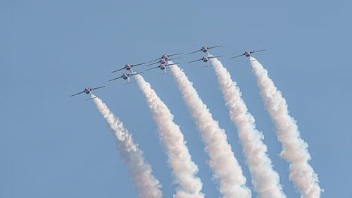 Canadian Armed Forces Snowbirds.