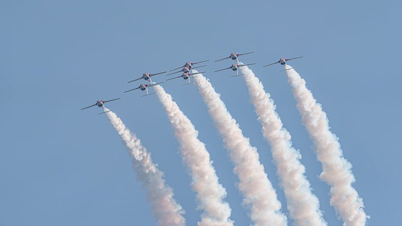 Canadian Armed Forces Snowbirds. by Jaap van den Berg