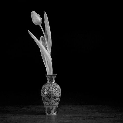 Infrared tulip in vase