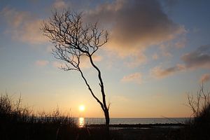 Abends auf Rügen