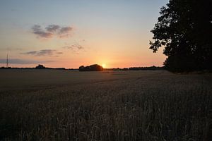 Coucher de soleil à Groß Stresow