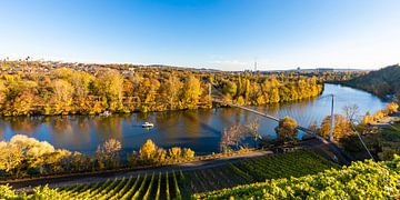 Wijngaarden en de Neckar in Stuttgart