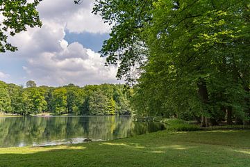 parc sur Tania Perneel