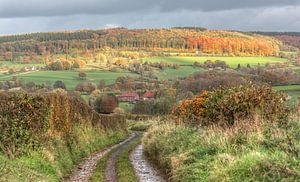 Herfstkleuren in Zuid-Limburg sur John Kreukniet