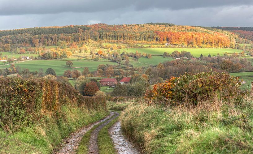 Herfstkleuren in Zuid-Limburg van John Kreukniet