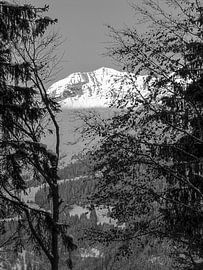 Winter sun on the snowy mountains in the Alps, Switzerland by Rietje Bulthuis