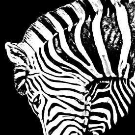 un zèbre monochrome mixed media sur Werner Lehmann