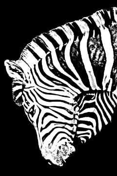 un zèbre monochrome mixed media