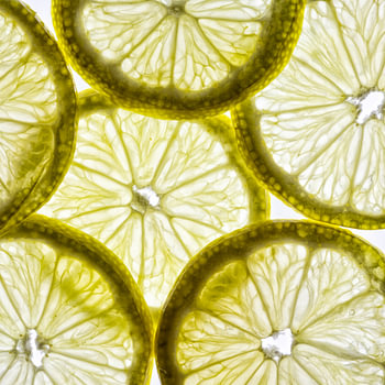 Fragile Kreise aus Zeit und Saft