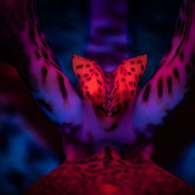 The creature from behind by Patrick Schwarzbach