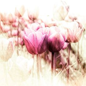 A glimpse of spring by Wil van der Velde/ Digital Art