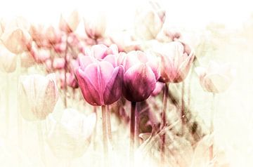 Een glimp van de lente van Wil van der Velde/ Digital Art