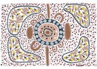 Insect colonies