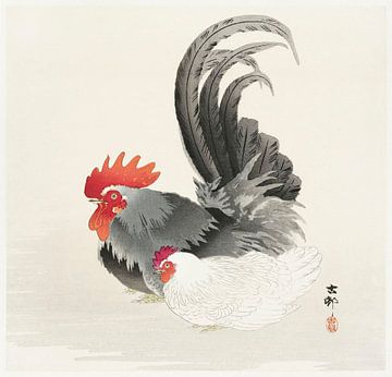 Chicken and cock (1900 - 1936) by Ohara Koson van Studio POPPY